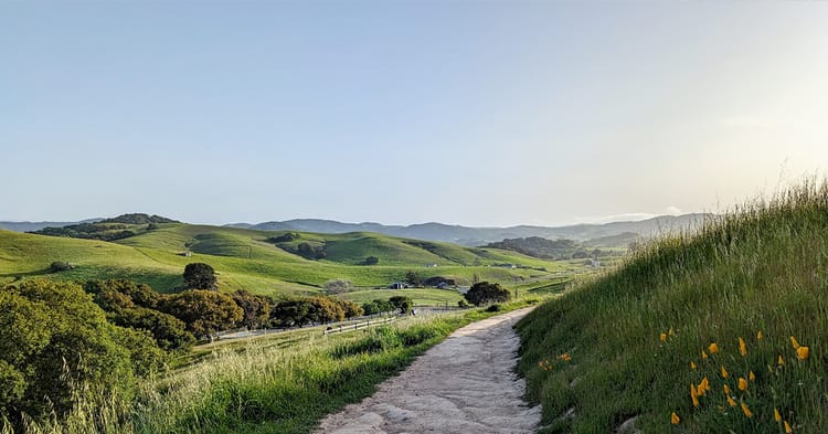 A photo on a hike in the rolling green hills of Petaluma, during golden hour on a spring day.