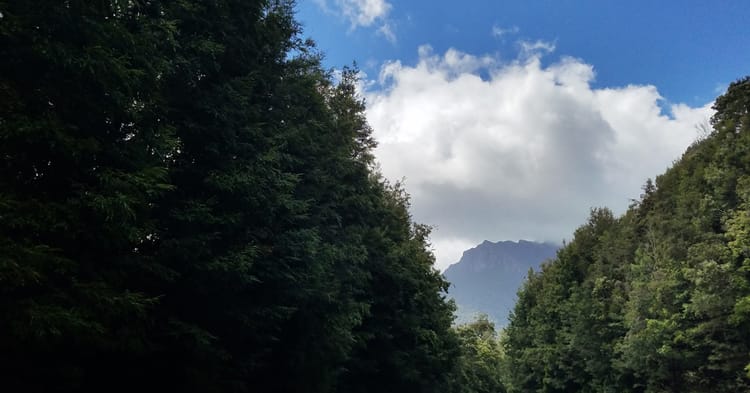 A photo of Tasmania's Mount Murchison rising into view between dense forest on either side of the road.