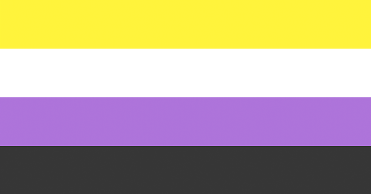 The nonbinary pride flag, featuring four horizontal stripes. From top to bottom: yellow, white, purple, and black.