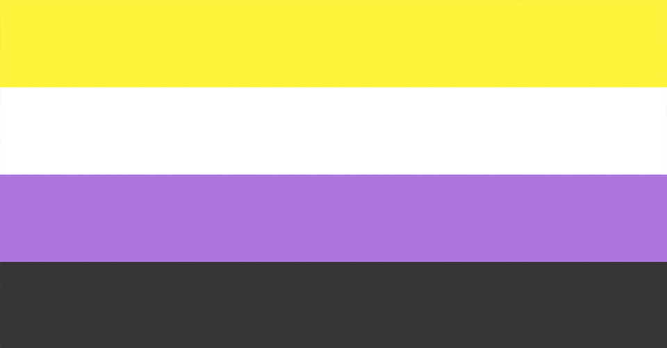 The nonbinary pride flag, featuring four horizontal stripes. From top to bottom: yellow, white, purple, and black.