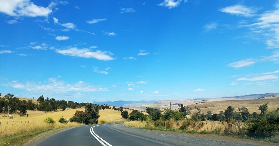 A photo of a winding road disappearing into the Tasmanian countryside on a sunny day.