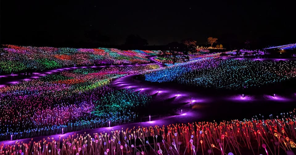 A photo, taken at night, of rolling hills covered with fiber optic lights in a rainbow of colors. A path lit by purple light winds into the distance.